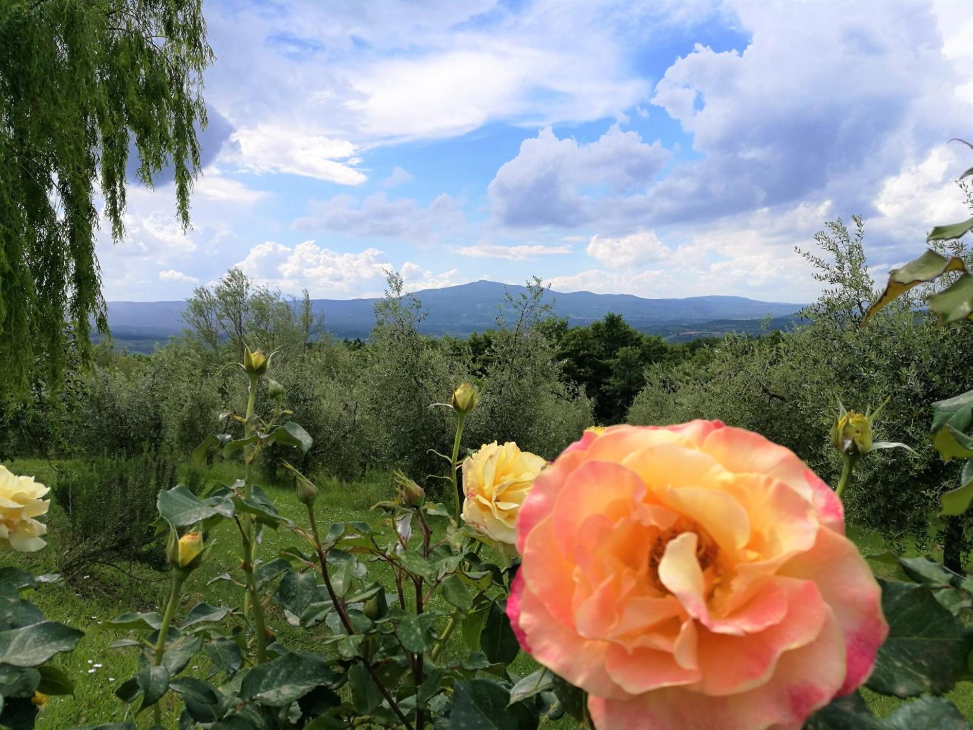 Agriturismo Cornieto Monteleone dʼOrvieto Exteriér fotografie