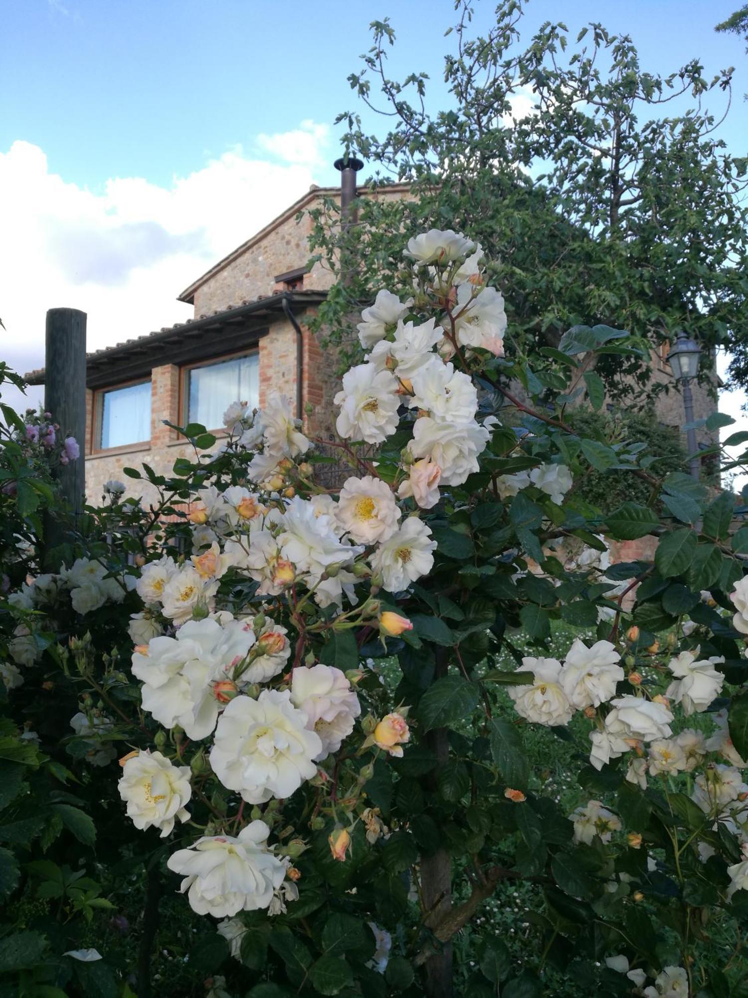 Agriturismo Cornieto Monteleone dʼOrvieto Exteriér fotografie