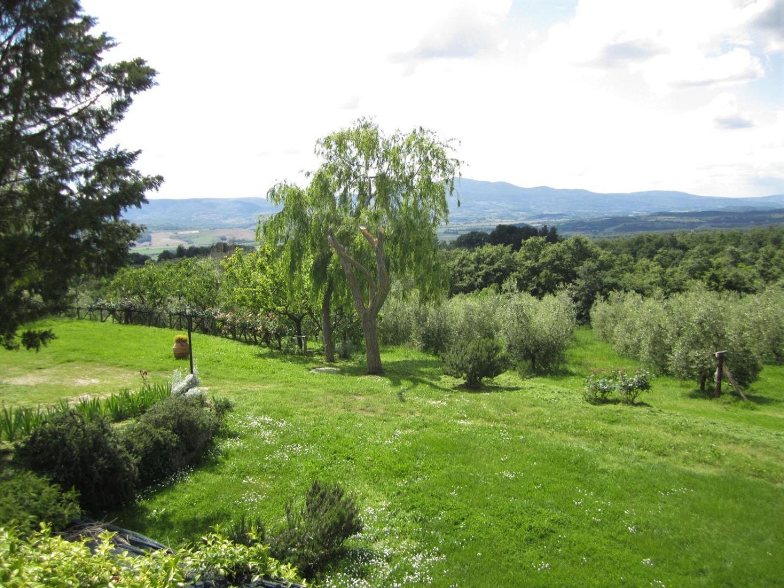 Agriturismo Cornieto Monteleone dʼOrvieto Exteriér fotografie