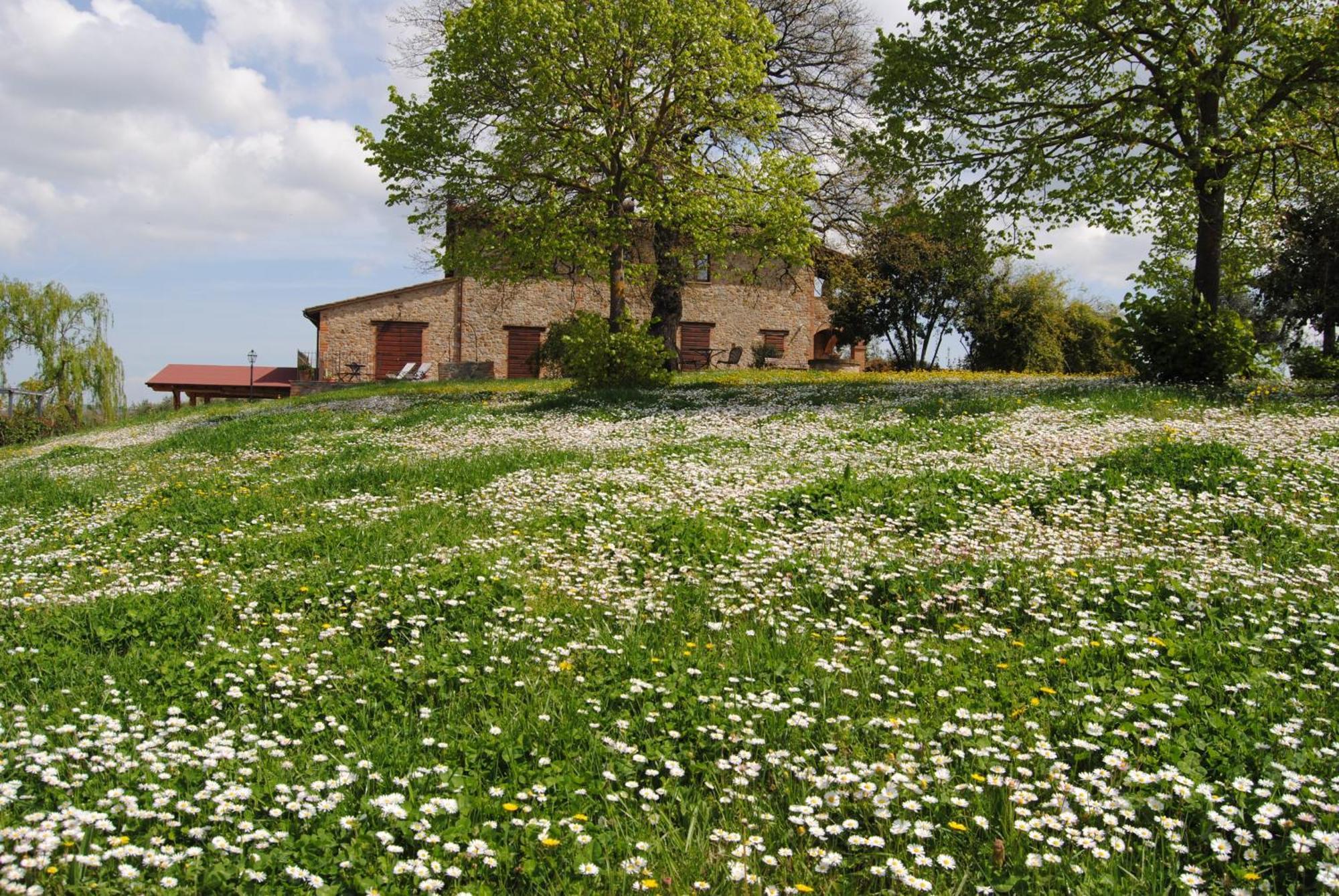 Agriturismo Cornieto Monteleone dʼOrvieto Exteriér fotografie