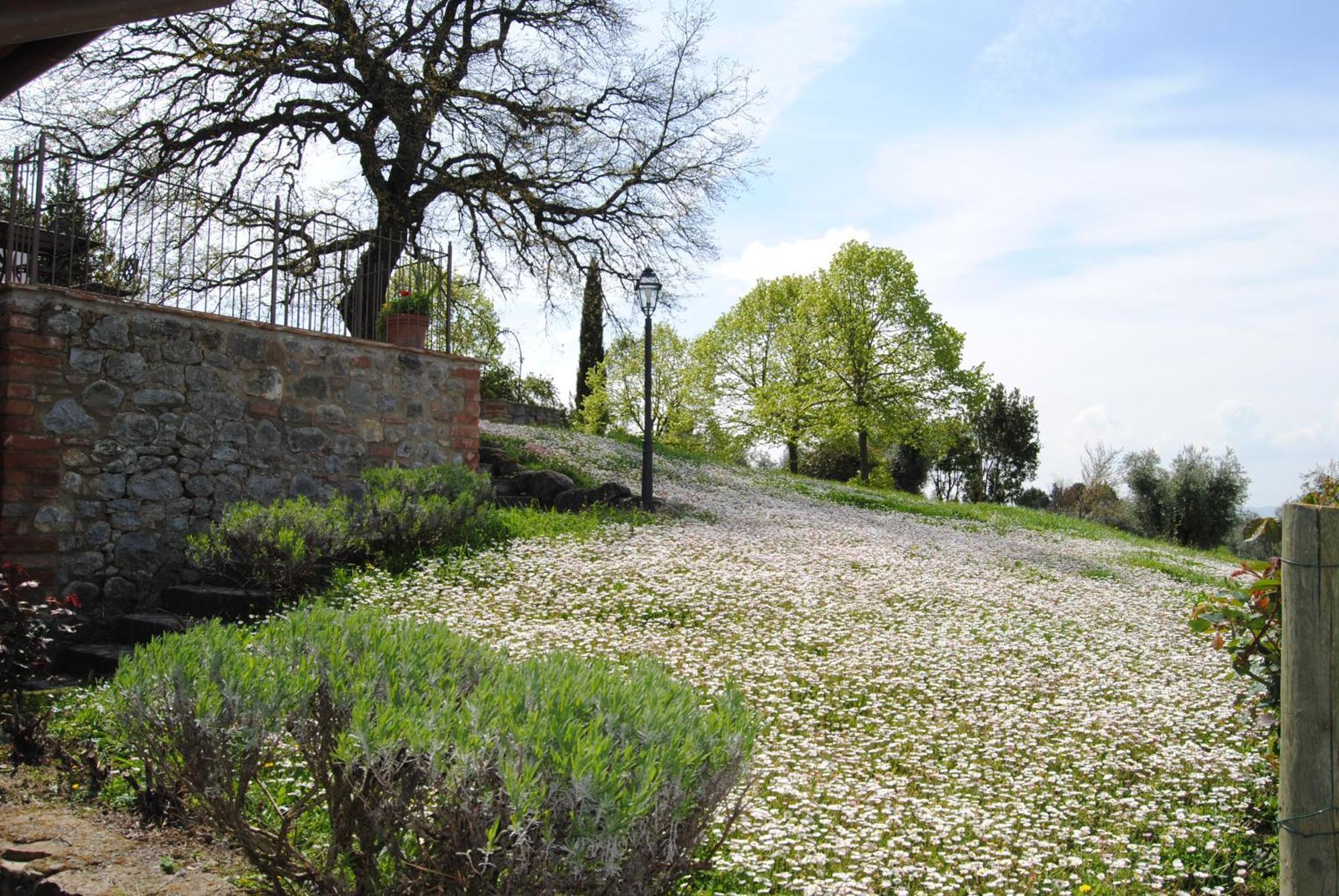 Agriturismo Cornieto Monteleone dʼOrvieto Exteriér fotografie