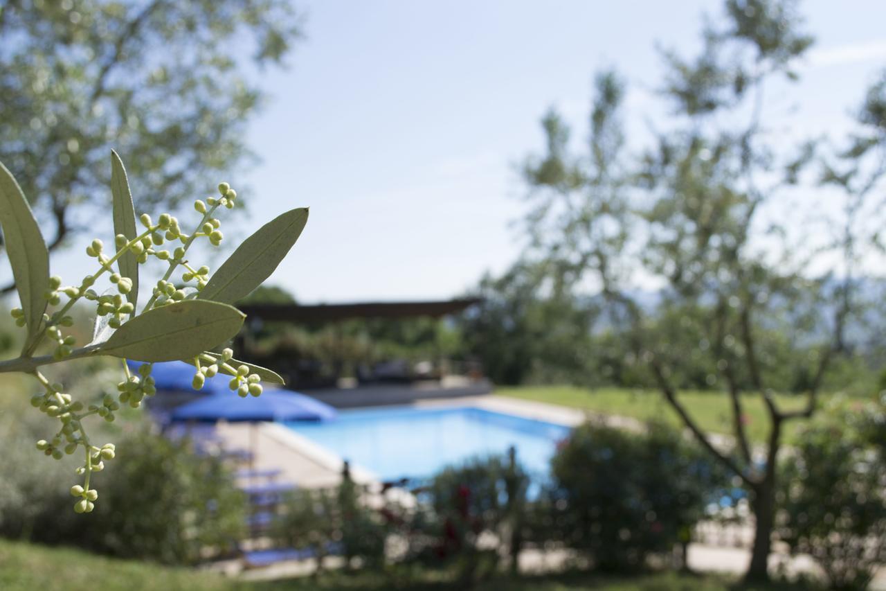 Agriturismo Cornieto Monteleone dʼOrvieto Exteriér fotografie